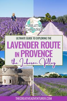 the ultimate guide to exploring the lavender route in france