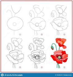 Poppy Flower Sketch Simple, Poppy Flower Drawing Step By Step, Poppy Flower Tutorial, Flower Drawing Poppy, How To Draw Poppies Step By Step, How To Paint A Poppy Flower Step By Step, Red Poppy Flower Drawing, How To Paint Poppy Flowers, Learn To Draw Flowers Step By Step