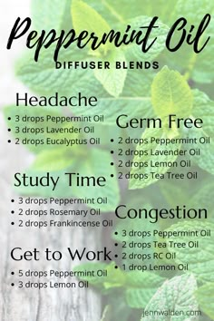 Diffuser Blends Peppermint, Peppermint Essential Oil Uses Diffuser, Peppermint Oil Blends, Clean Essential Oil Blends, Peppermint Diffuser Blend, Peppermint Essential Oil Blends, Oil Blends To Diffuse, Peppermint Essential Oil Uses, Best Essential Oil Blends