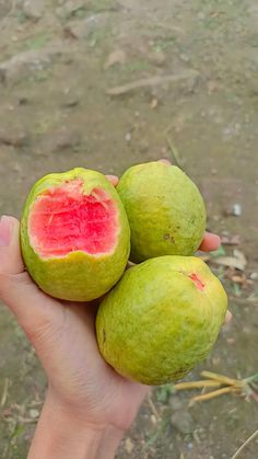 three pieces of fruit are held in the palm