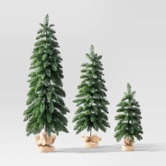 three small christmas trees with bows on them