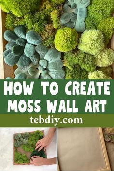 how to create moss wall art