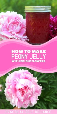 how to make peony jelly with edible flowers - practical self reliance for beginners