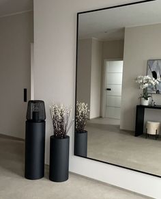 two black vases are sitting in front of a large mirror on the wall next to a planter