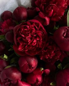 a bunch of red flowers sitting on top of a white sheeted tablecloth with green leaves