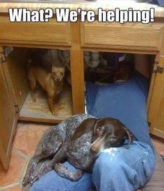 a dog is laying in the middle of a kitchen under a table with its head on someone's leg