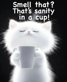 a white cat holding a cup with its eyes closed and the caption smell that? that's sanitiy in a cup