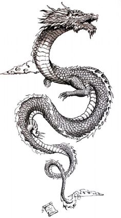 a black and white drawing of a dragon with its head in the shape of a snake