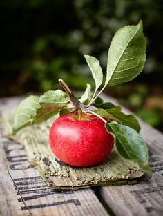 an apple sitting on top of a wooden table next to green leafy branches and leaves