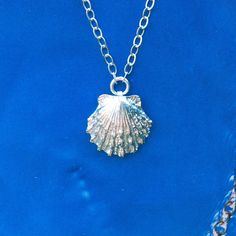 I love the beach. I love collecting shells. I always carry a plastic bag for trash when I collect shells so I can thank Mother Nature for the gifts she is giving me by helping to keep her clean. I always find more trash than treasure.  This is the perfect beach loving, wear-everyday kind of necklace.   Sterling silver shell and chain. Shell measures 15x15mm. Please choose chain length at checkout.  All Cabin No.7 jewlery arrives wrapped in colorful tissue paper and hand-stamped gift box- perfect Sterling Silver Shell Necklace For Beach, Silver Shell For Beach With Ocean-inspired Style, Silver Shell-shaped Pendant With Lobster Clasp, Nickel-free Ocean-inspired Shell As Gift, Ocean-inspired Silver Shell Necklace, Silver Shell Necklace For Gift, Ocean-inspired, Silver Shell Necklace For Gift, Nickel-free Silver Shell As Gift, Silver Shell Gift