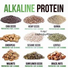 Alkaline Protein Sources, Alkaline Protein, Autoimmune Healing