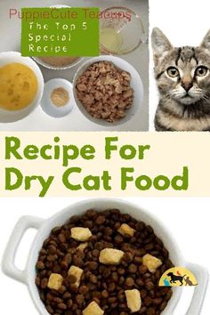 the recipe for dry cat food is shown