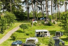 an rv park with cars and campers parked on the side of it, surrounded by trees