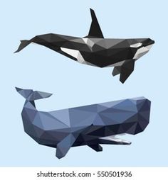 two orca whales and an orca whale are depicted in low polygonics