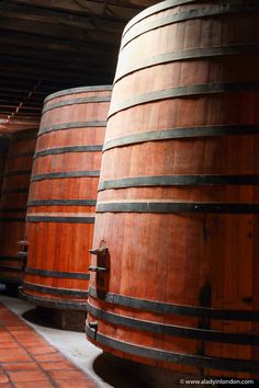 several wooden barrels are lined up in a row on the floor next to each other