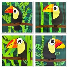 four pictures of toucan birds in the jungle