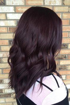 Cherry Brown Hair Color, Dark Red Hair With Brown, Pelo Color Borgoña, Cherry Brown Hair, Violet Shades, Dark Purple Hair, Plum Hair