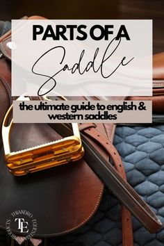 the ultimate guide to english and western saddles - part 2 parts of a saddle saddle