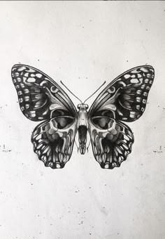 a black and white drawing of a butterfly