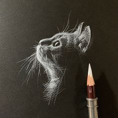 a pencil drawing of a cat's face on a black paper with the tip of its nose sticking out