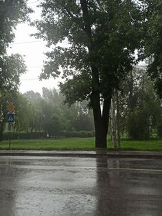 an empty street in the rain with trees on both sides