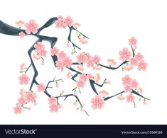 a branch with pink flowers on white background