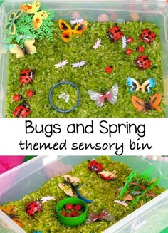 a plastic container filled with bugs and spring themed sensory bins