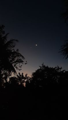 the sun is setting behind some trees in the night sky with a moon and venus visible