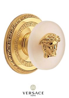 an image of a door knob with a lion head on the front and side of it