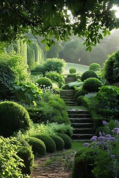 a garden with steps leading up to the top of it and lots of green plants