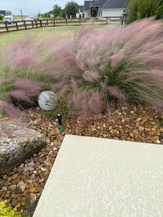 purple flowers and rocks in front of a fenced in area with a stone bench