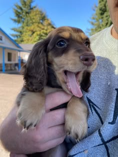 a person holding a puppy in their arms