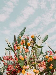 an arrangement of flowers and cacti on a table