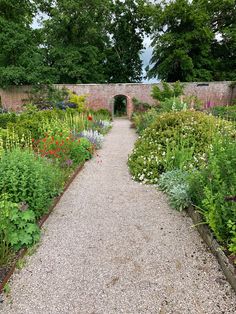 a garden filled with lots of different types of flowers