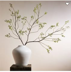 a white vase with some green leaves in it on a wooden table next to a wall