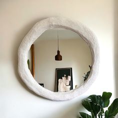 a mirror that is on the wall above a potted plant and a white horse