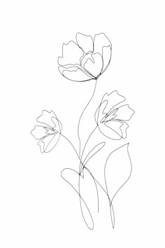 a line drawing of three flowers on a white background