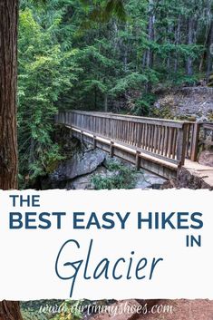 the best hikes in glacier national park with text overlay that reads, the best easy hikes in glacier