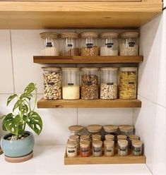 the shelves are filled with jars and spices