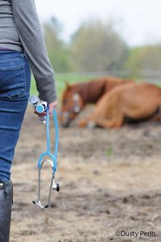 a woman with a stethoscope in her hand is standing next to a horse