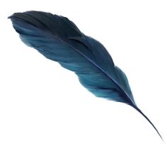 a red feather is flying in the air