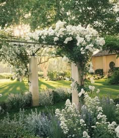 the garden is full of white flowers and trees