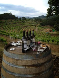 two bottles of wine sitting on top of a barrel