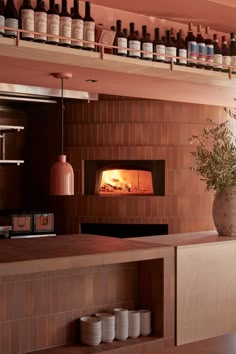 a fireplace in a kitchen with lots of bottles on the shelves and a potted plant next to it