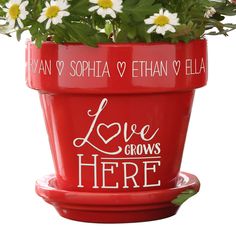 a red flower pot with daisies in it and the words love grows here painted on it