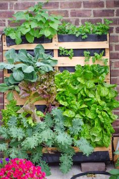 a wooden pallet filled with lots of different types of green plants and flowers next to a brick wall