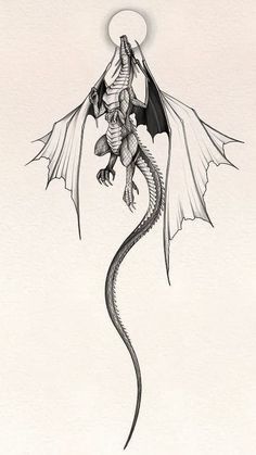 a black and white drawing of a dragon with wings on its back, flying through the air