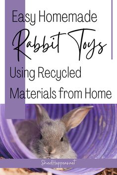 an image of a rabbit in a purple tube with text overlay reading easy homemade resist toys using recycled materials from home