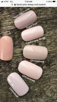 Cnd Dipping Powder Nails, Neutral Cnd Shellac Colors, Dnc Nail Colors Gel Neutral, Shellac Neutral Colors, Cnd Shellac Colors 2024 Fall, Cnd Shellac Colors Winter, Cnd Shellac Cuddle Up