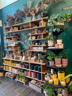 a room filled with lots of potted plants next to shelves full of pots and containers